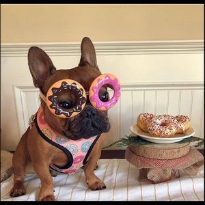 Meet your Posher, Kathi